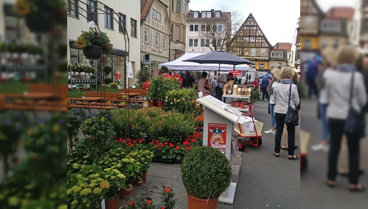 Frühjahrsmarkt: Bad Kissingen blüht auf