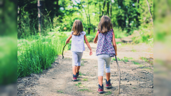 Erlebniswanderungen für Kinder: Die Natur spielerisch erleben