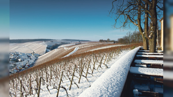 Das Fränkische Weinland erleben