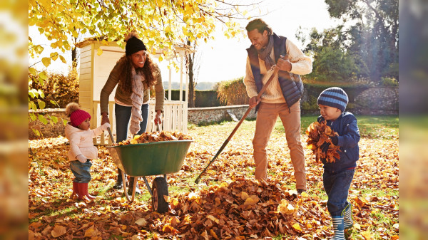 Herbstliche Gartenpflege