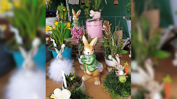 Frühlingsstart beim Palmmarkt in Hollfeld
