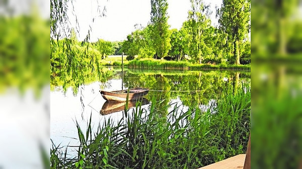 Auf geht's zum Seefest nach Michelfeld