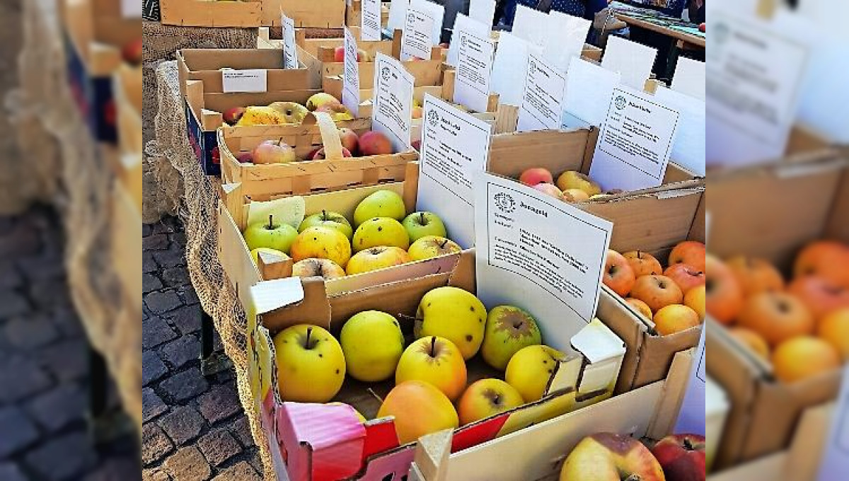 Oktobermarkt Ebern