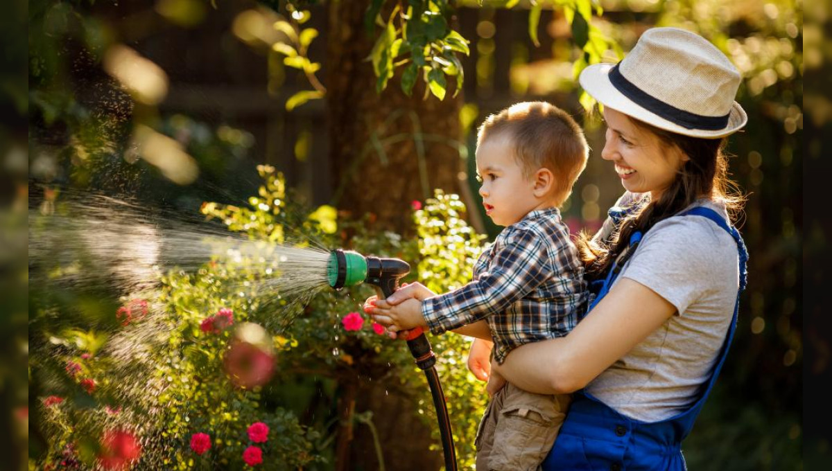 Den Garten richtig bewässern