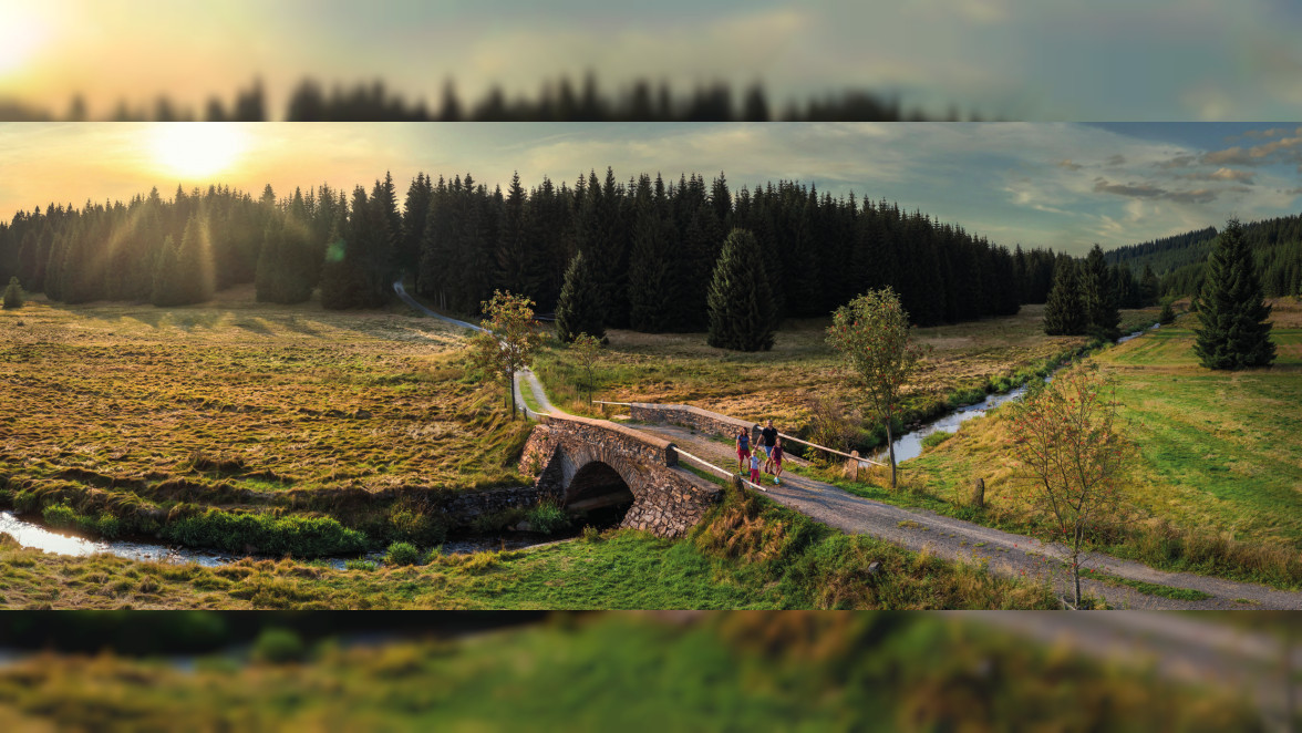 Kammweg Erzgebirge-Vogtland - Der Natur ganz nah sein