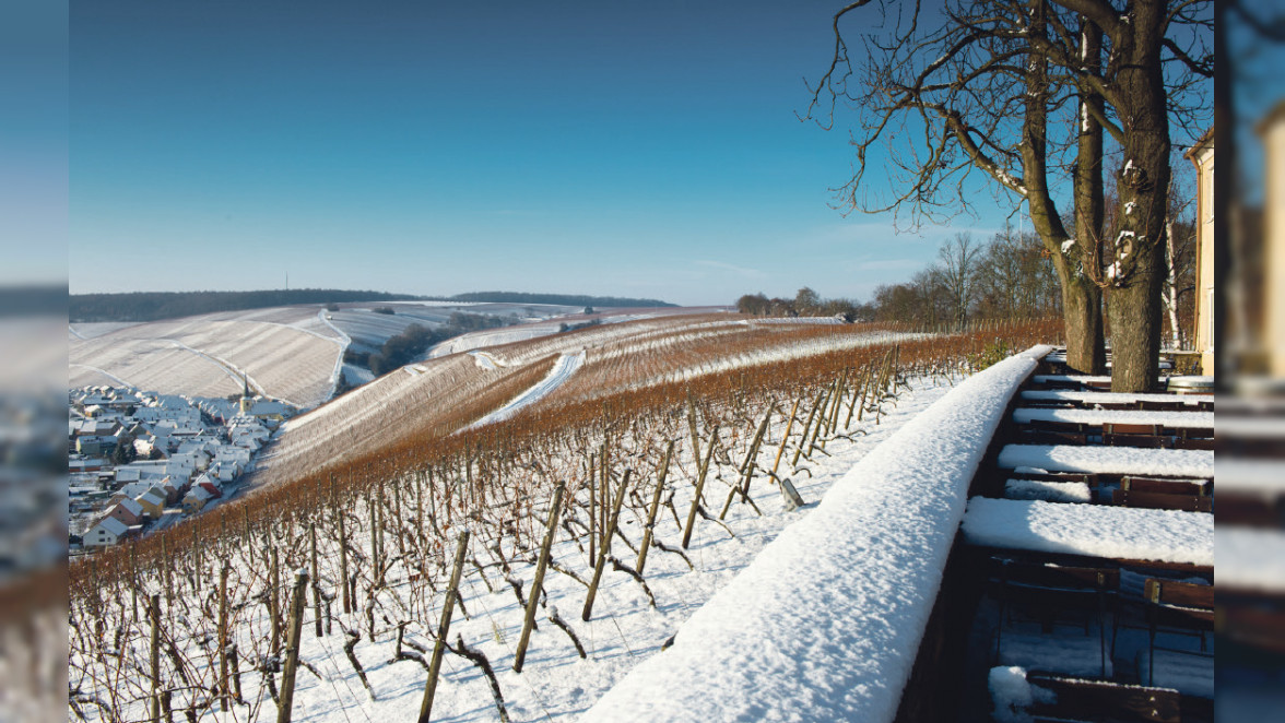 Das Fränkische Weinland erleben