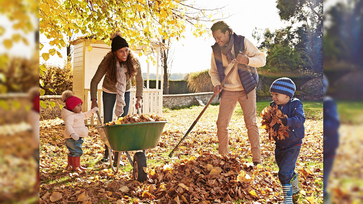 Herbstliche Gartenpflege