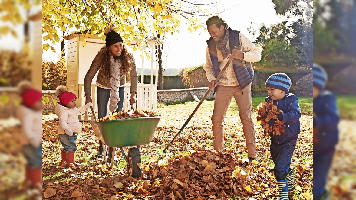 Herbstliche Gartenpflege