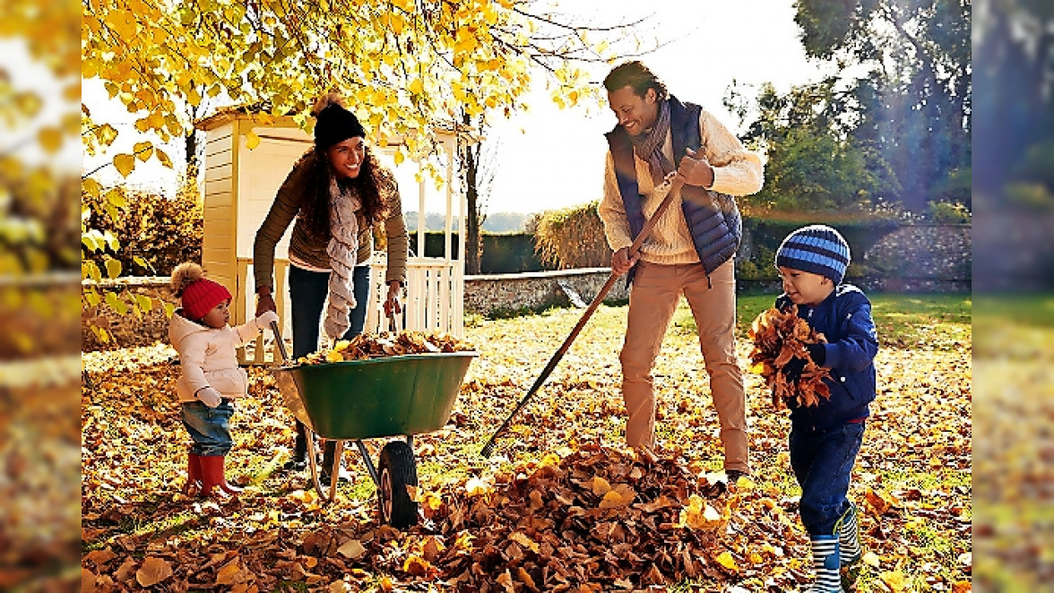 Herbstliche Gartenpflege