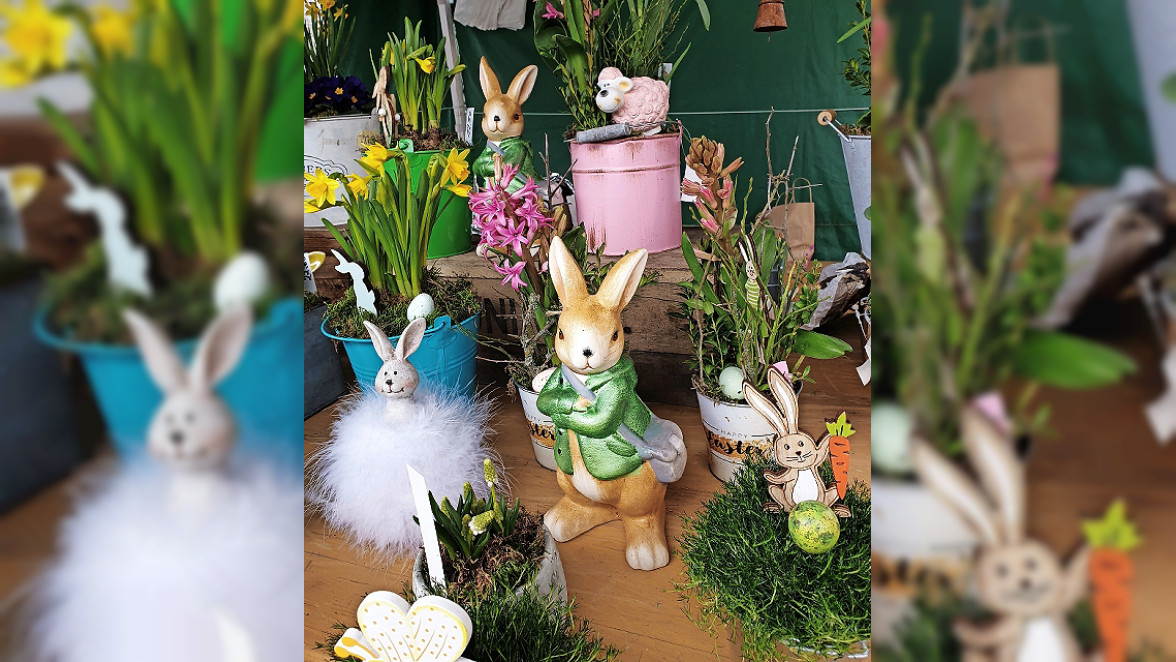 Frühlingsstart beim Palmmarkt in Hollfeld