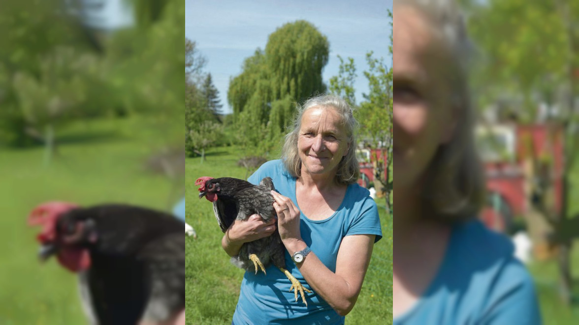 Im Garten von Sylvia Schmon: Entspanntes Paradies für Mensch und Huhn