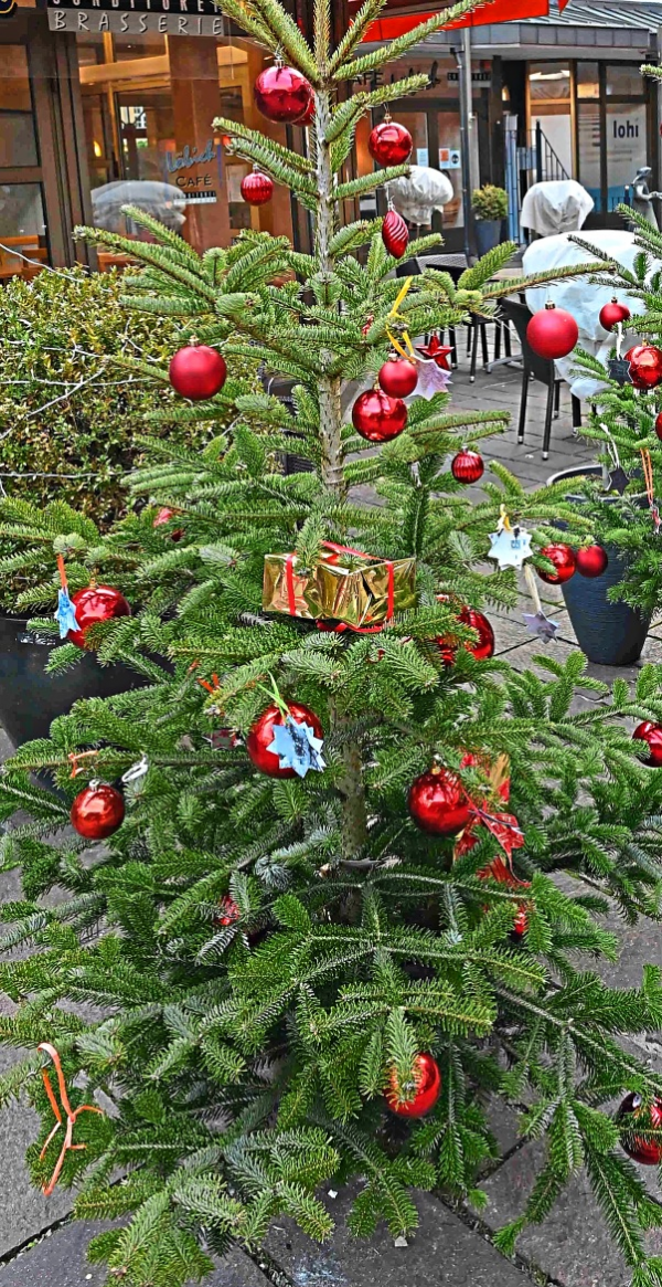 Nicht unbedingt der Wuchs ist beim Christbaum entscheidend, sondern was drunter liegt - oder was dran hängt, wie bei diesem „Wunschbaum“. Was das ist, lesen Sie auf Seite 3. Foto: Archiv wb