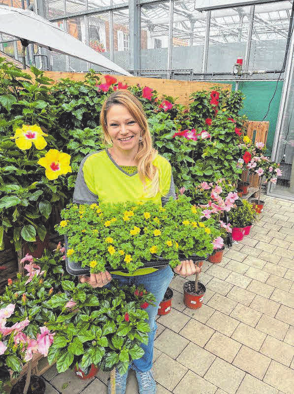 Das Gartencenter Späth präsentiert jetzt die große Balkonkasten