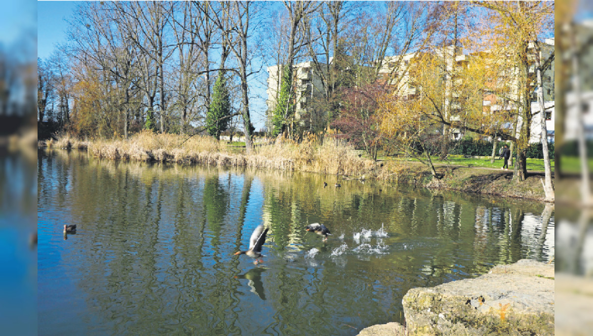Stadtteil mit grüner Grenze