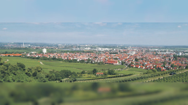 Gut informiert in Fellbach und Umgebung