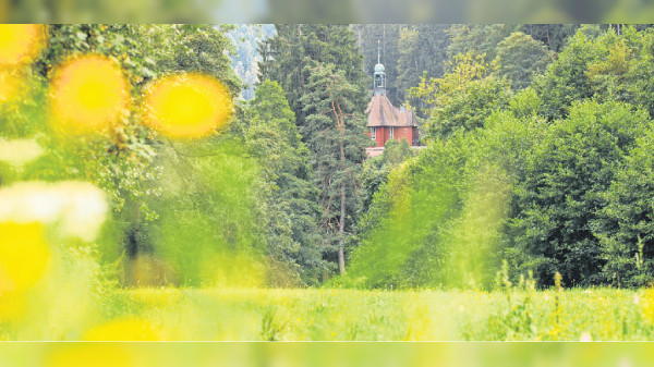 Gartenschau Freudenstadt und Baiersbronn: Die große Vielfalt im Tal X