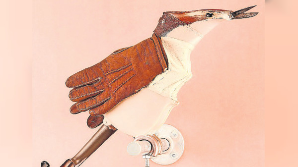 Neue Ausstellung im Museum im Kleihues-Bau: Für Vogel- und Kunstfans