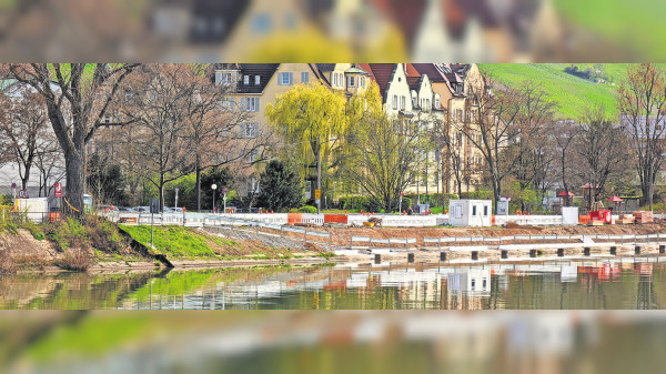 Projekt „Stadt am Fluss“ in Türkheim: Unter den Linden mit Blick auf den Neckar