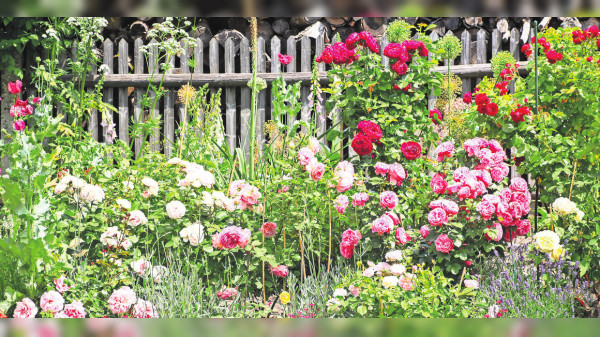 Von "smart" bis "Cottage"-Garden