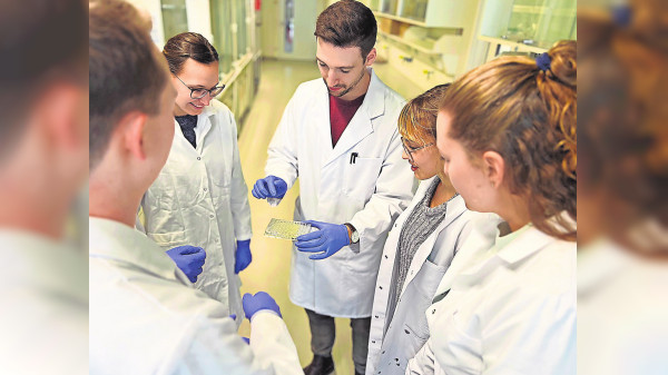 Stuttgarter Wissenschaftsfestival vom 11. bis 22. Oktober: Von Bioökonomie bis digitale Transformation
