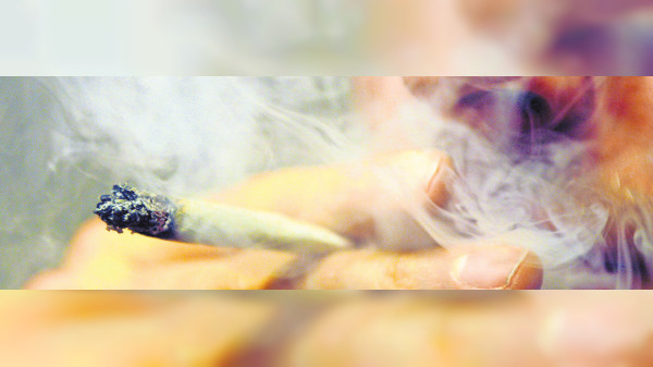 Nachbar stört mit Marihuana-Rauch: Kann man das verbieten?