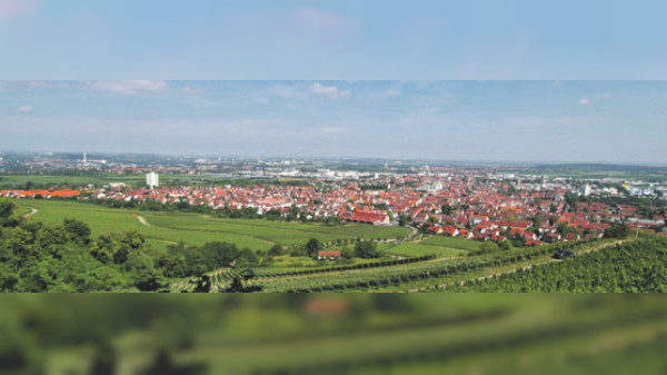 Gut informiert in Fellbach und Umgebung