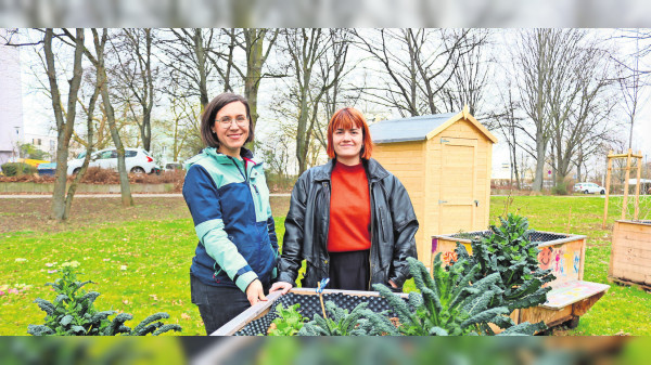 Gemeinschaftsgarten Freiberg: Zwischen Wohnblöcken sprießt Gemüse