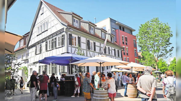Zum Fellbacher Maikäferfest am 4. Mai brummt es wieder in der Stadt