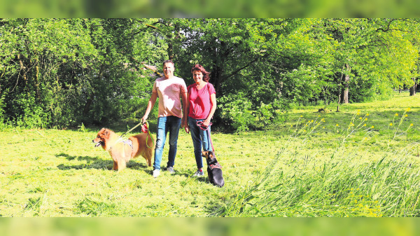 Hundeauslaufplatz in Hofen: Heißt es bald „Leinen los“?