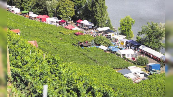 Edle Tropfen und leuchtende Weinberge, Mühlhausen