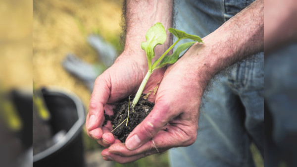 Gartenarbeit tut der Seele gut