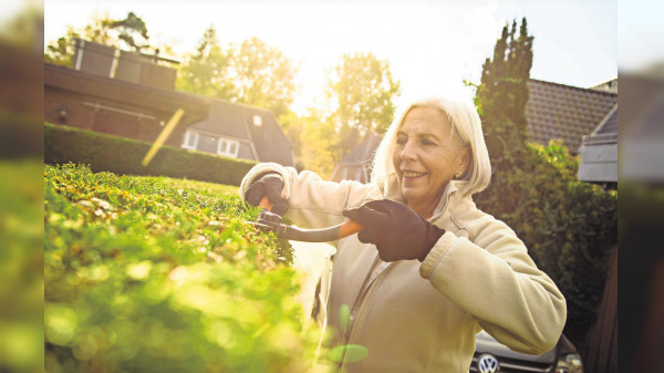 Eine Frage der Optimierung