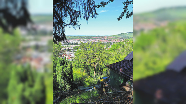 Rückblick auf 2025: Autohof und Wilhelmsschule waren Themen