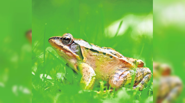 Bank, Biotope und Broschüre
