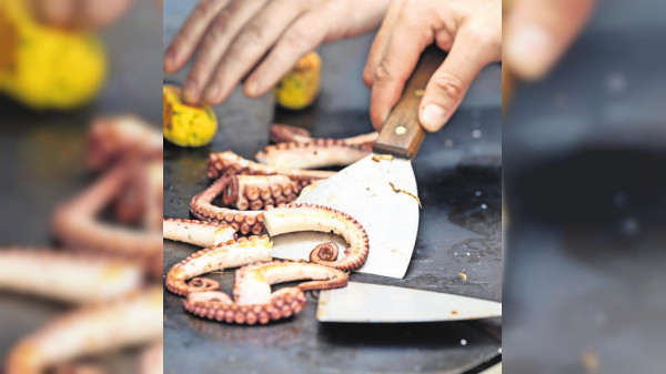 Stuttgarter Frühjahrsmessen: Raus aus dem Alltag, rein ins Frühlingserlebnis