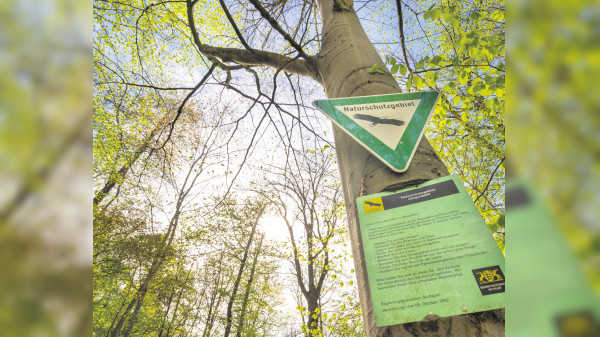 Veranstaltungen in Renningen und Malmsheim: Der Sommer hält Einzug in der Rankbachstadt