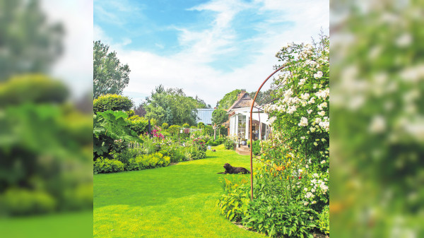 In sieben Schritten zu einem widerstandsfähigen Garten