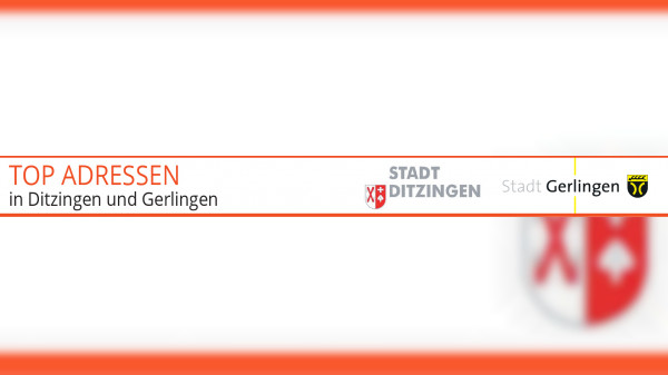 Du willst etwas in Ditzingen bewegen?