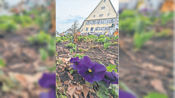 Stuttgart/Wangen: Ideen für den konkreten Klimaschutz