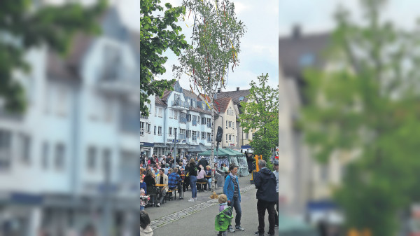 Maibaum-Tradition in Wangen aufleben lassen