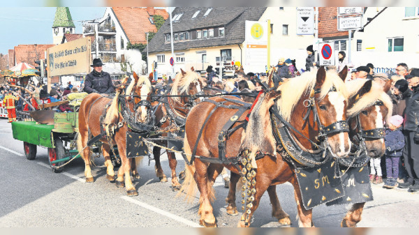 Bernhäuser Pferdemarkt: Ein tierisches Vergnügen