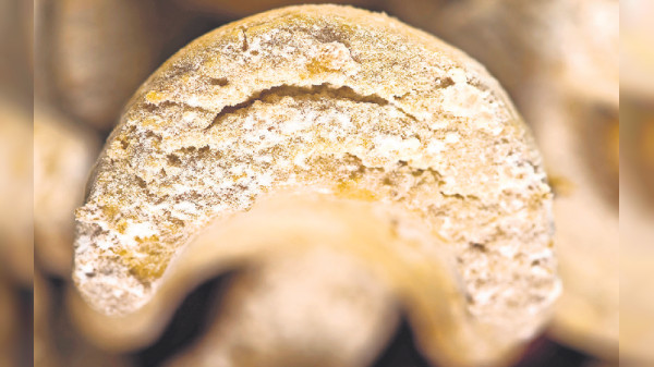 Vanille-Kipferl, der Klassiker der Weihnachts-Gutsle