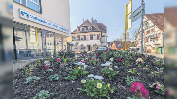 Umbau am Hedelfinger Platz: Neuer Platz, neue Leitungen - und viele Umleitungen 