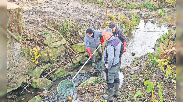 Engagement des Fischereivereins Esslingen: Den Lebensraum Wasser schützen