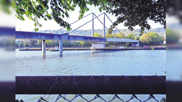 Neckarufer in Untertürkheim : Gute Aussichten