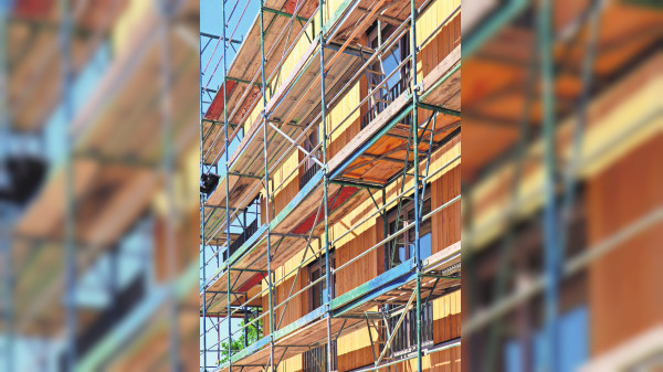 Auf Holz gebaut