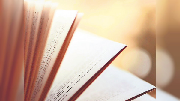 Petra Schmidt-Hieber Literatur-Stiftung - Gesucht: Lyrische Meisterwerke