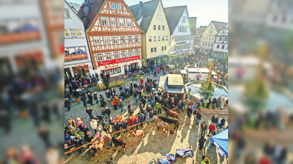 331. Auflage: Feiern, schlemmen und shoppen auf dem Leonberger Pferdemarkt