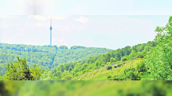 Hedelfingen-Rohracker: Gartenschau als Entwicklungssprung