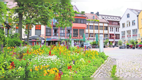 Stadtbezirk Vaihingen: Lebenswert, gebildet und charmant
